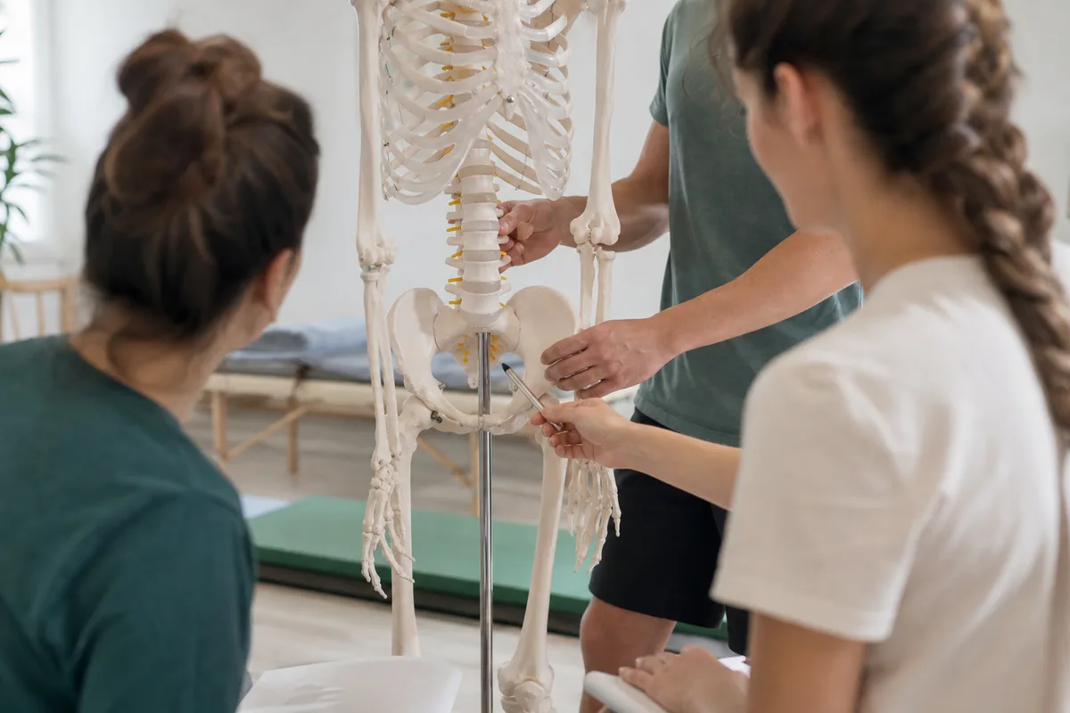 Étudiants en masso-kinésithérapie travaillant l&rsquo;anatomie sur un squelette en salle de cours